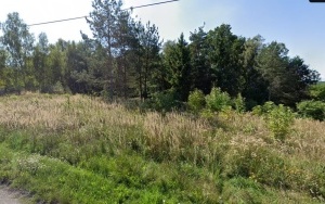 Widok 2