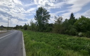 Foto działki (8)