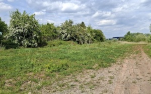 Foto działki (14)