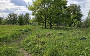 Foto działki (18)