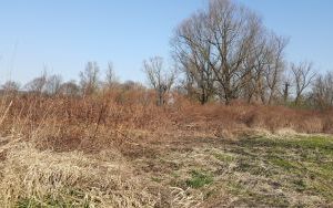 zdjęcie (2)