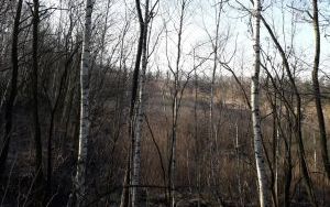 widok nieruchomości (3)